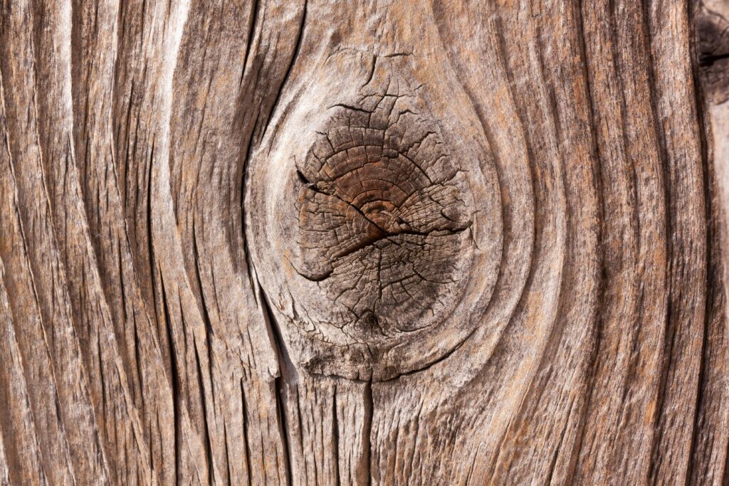 Closeup Photo of Brown Log