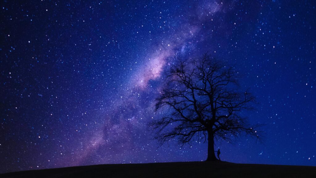 Person Beside Bare Tree at Night